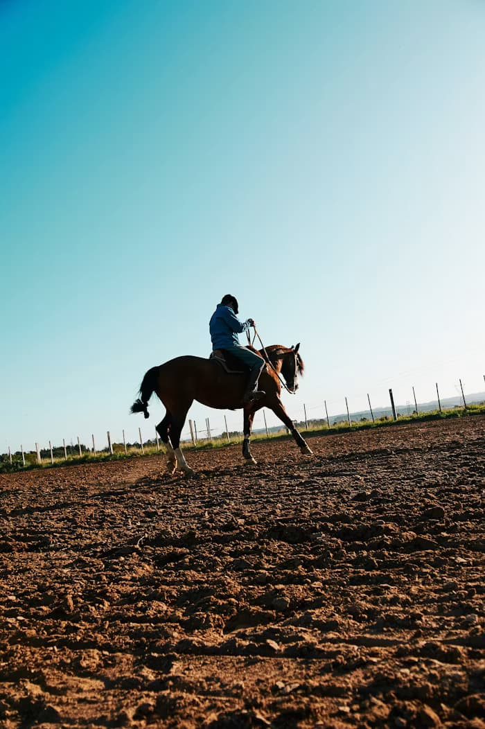 Horse Riding